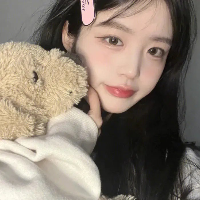绽放的玫瑰