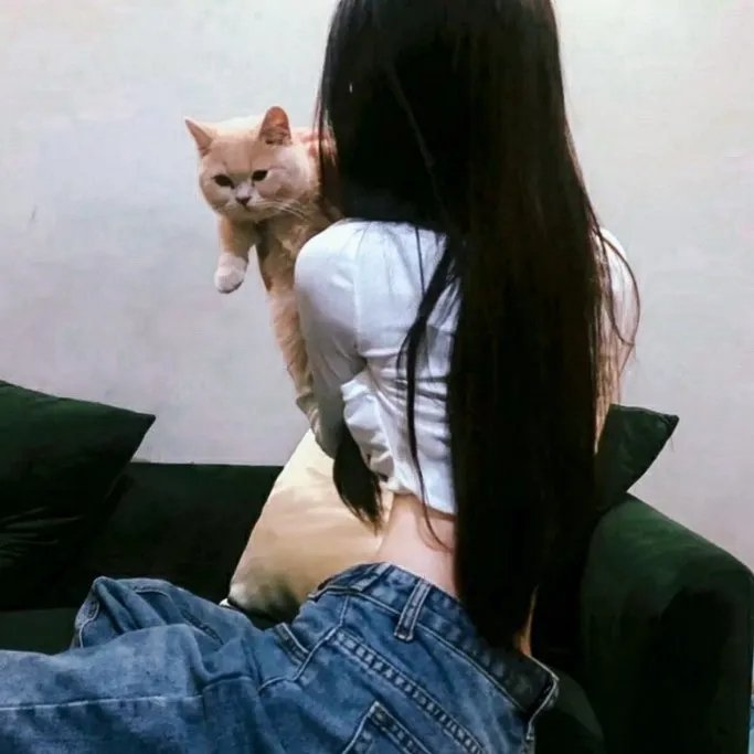 我们的虚实人生